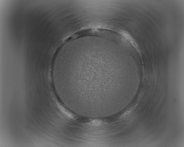 X0000069790441200605261701