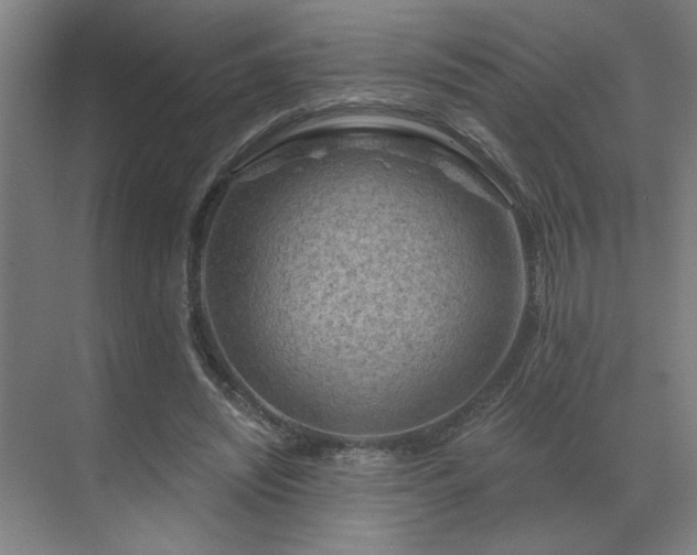 X0000069790444200605261701