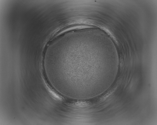 X0000069790445200605261701