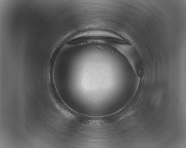 X0000069790446200605261701