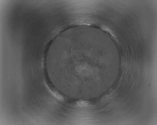 X0000069790451200605261701