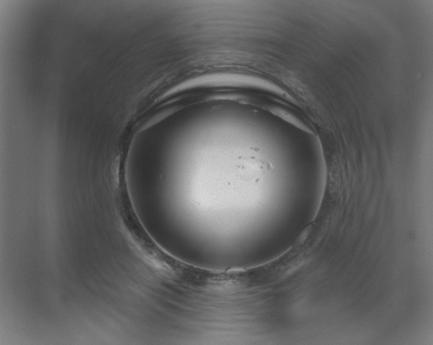 X0000069790454200605261701