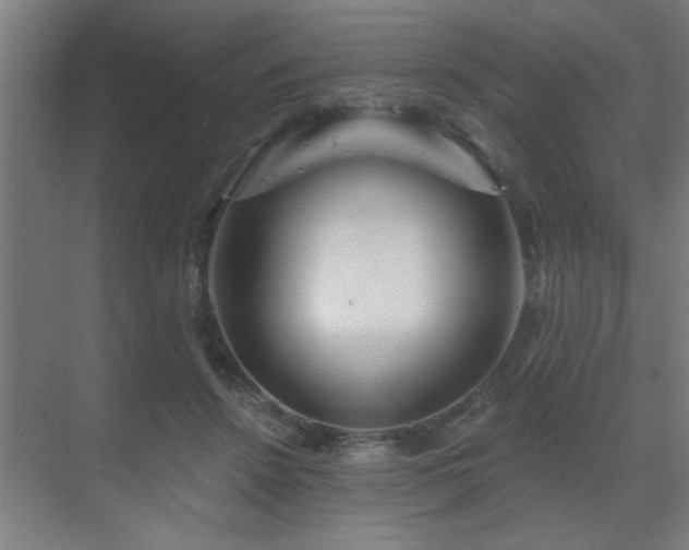 X0000069790456200605261701