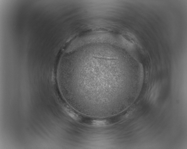 X0000069790457200605261701