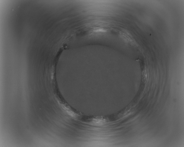 X0000069790458200605261701