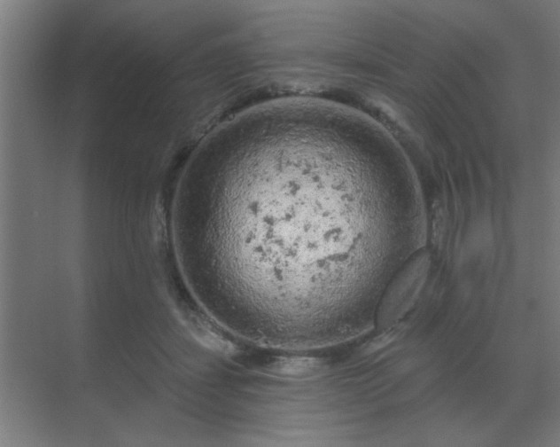 X0000069790459200605261701