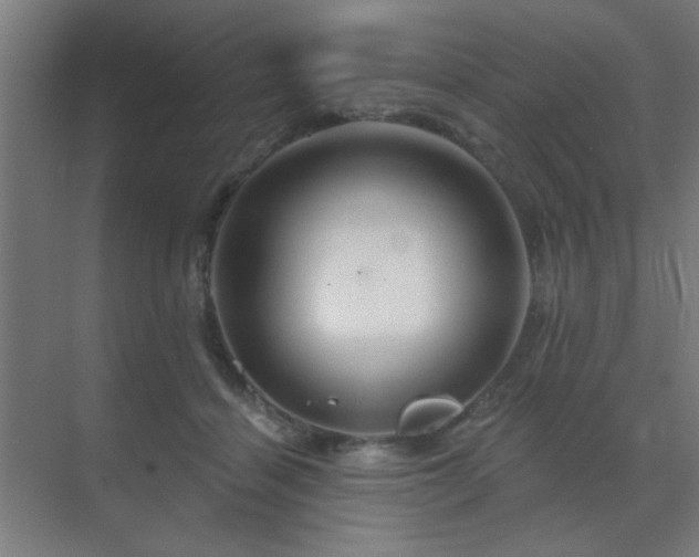 X0000069790460200605261701