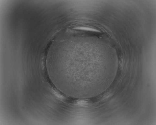 X0000069790462200605261701