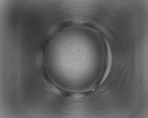 X0000069790463200605261701