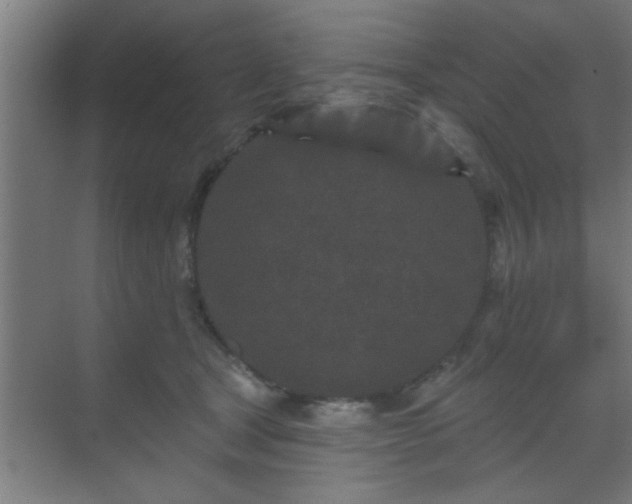 X0000069790465200605261701