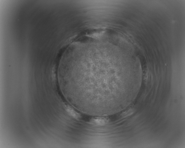 X0000069790466200605261701