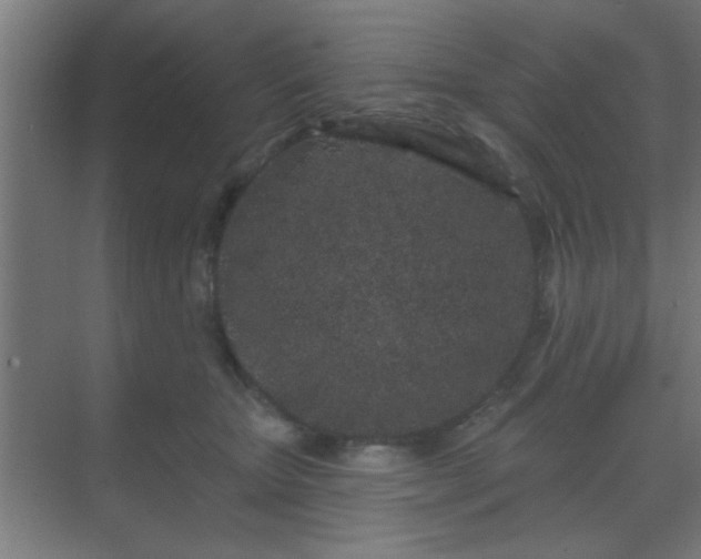 X0000069790467200605261701