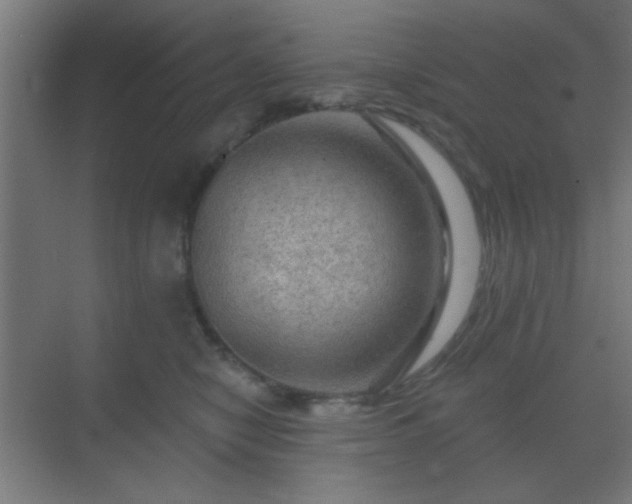 X0000069790470200605261701