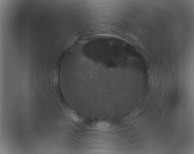 X0000069790471200605261701