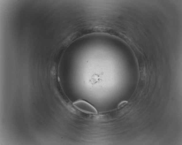 X0000069790472200605261701