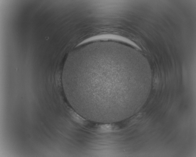 X0000069790473200605261701