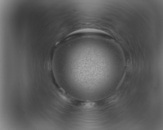 X0000069790474200605261701