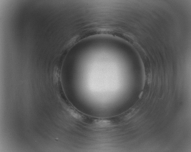 X0000069790476200605261701