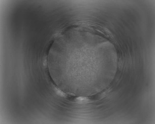 X0000069790477200605261701