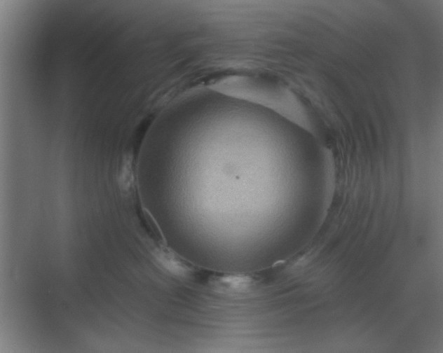 X0000069790478200605261701