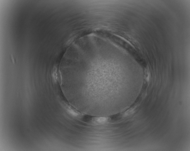 X0000069790479200605261701