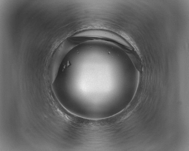 X0000069790481200605261701