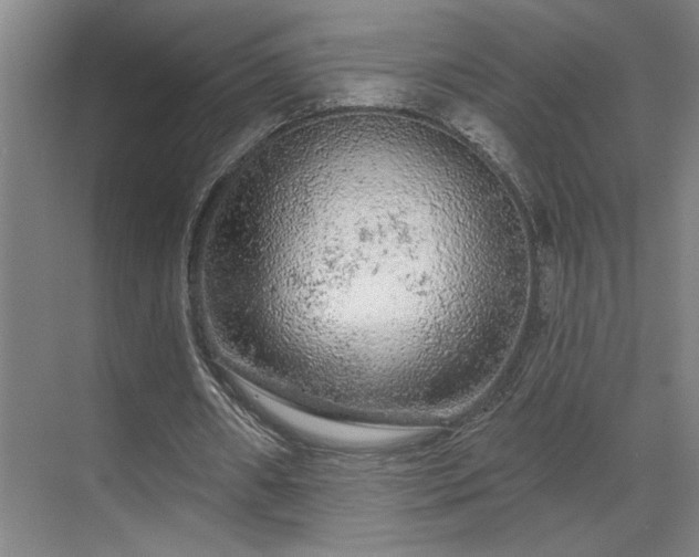 X0000069790482200605261701