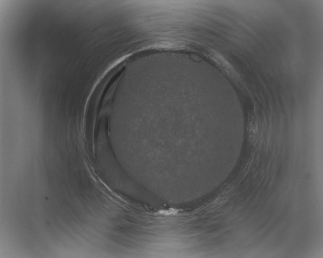 X0000069790484200605261700