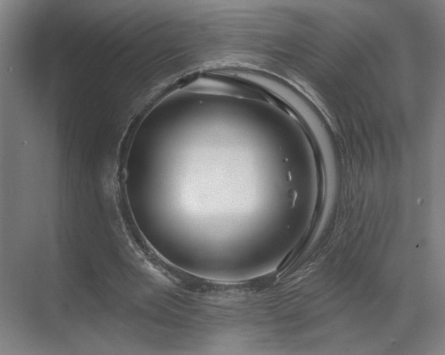 X0000069790485200605261700