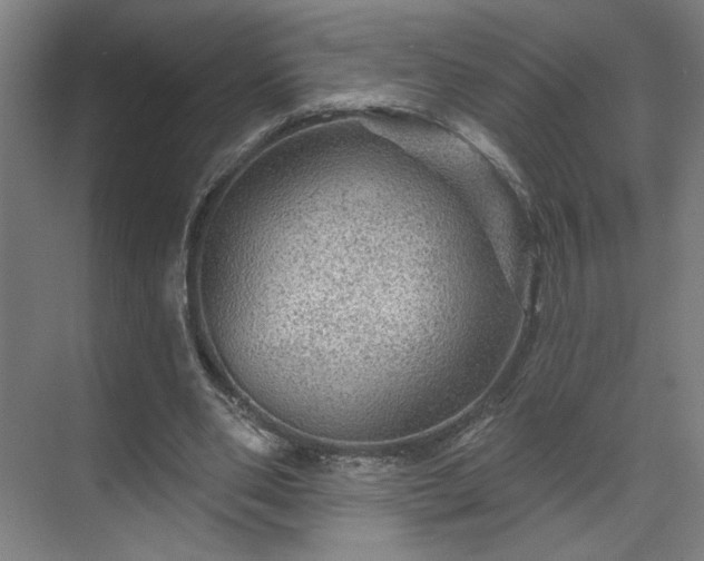 X0000069790486200605261700