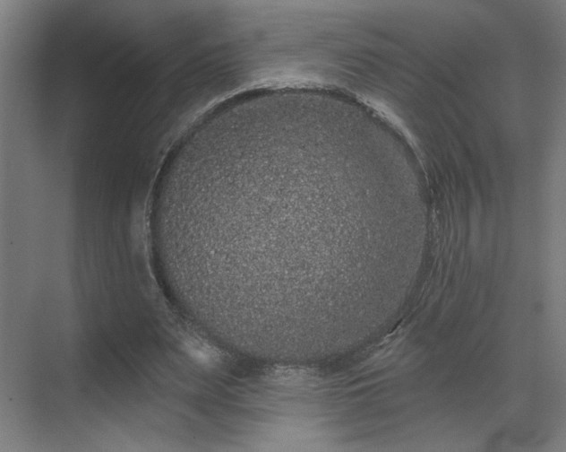 X0000069790487200605261700