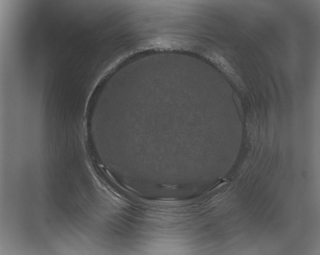 X0000069790488200605261700