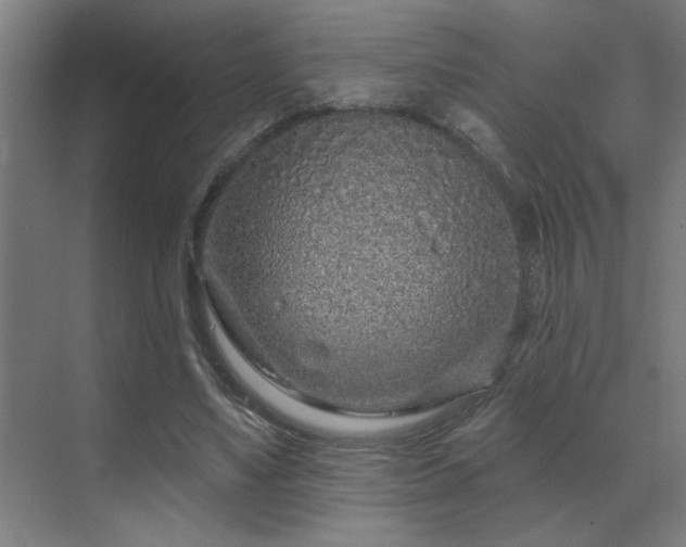 X0000069790491200605261700