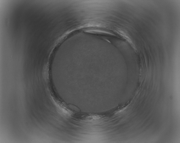 X0000069790492200605261700