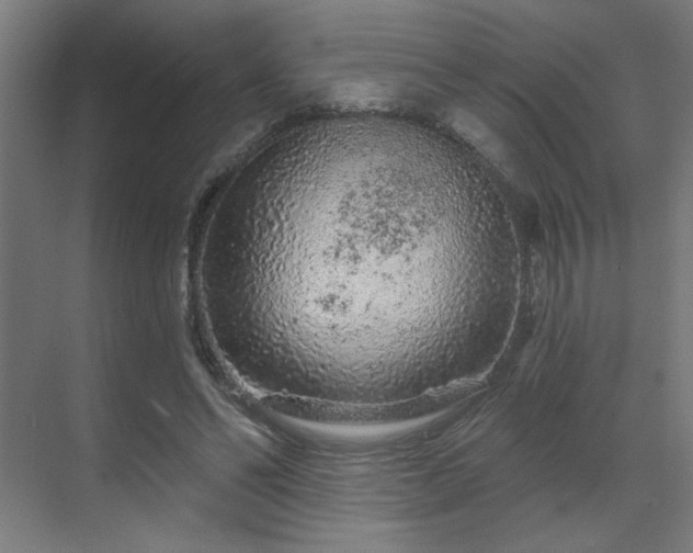 X0000069790494200605261700