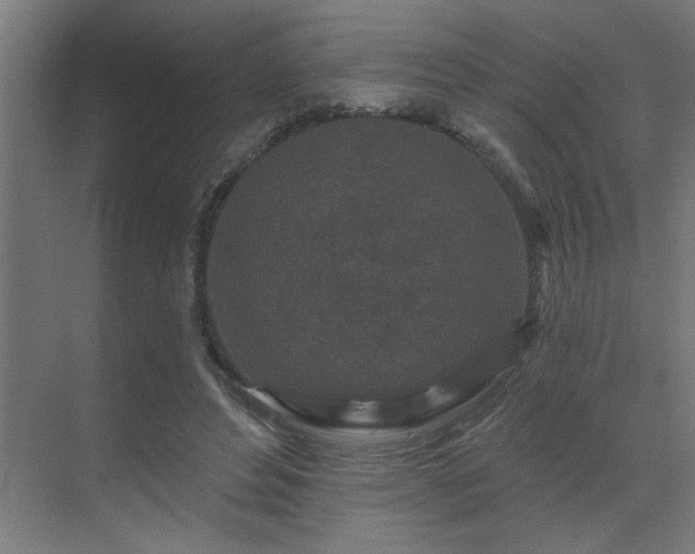 X0000069790496200605261700