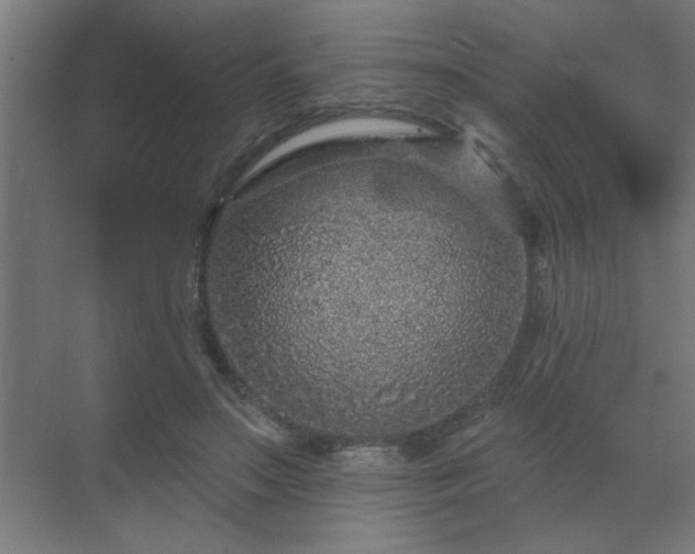 X0000069790499200605261700