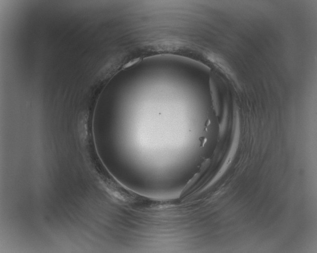 X0000069790501200605261700