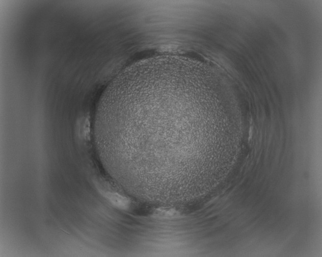 X0000069790502200605261700