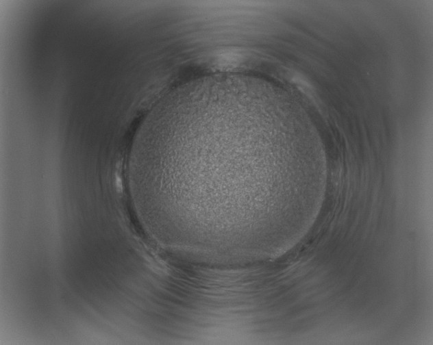 X0000069790503200605261700