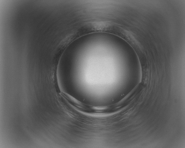 X0000069790505200605261700