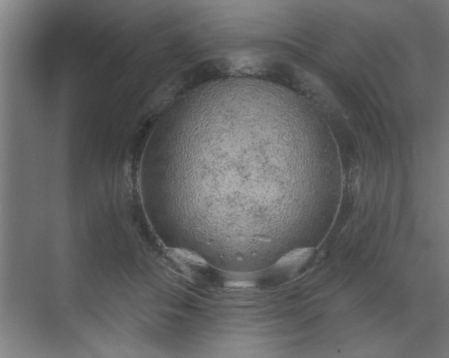 X0000069790506200605261700