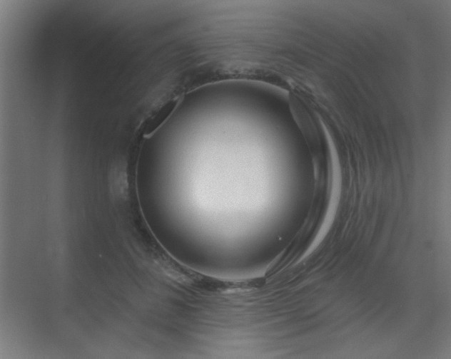 X0000069790508200605261700