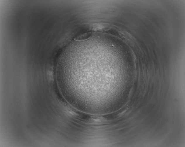 X0000069790510200605261700