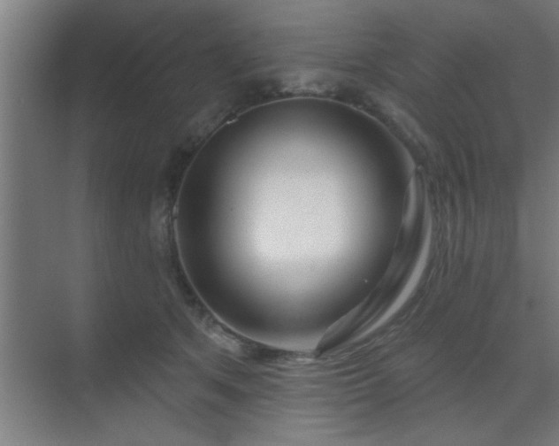 X0000069790513200605261700