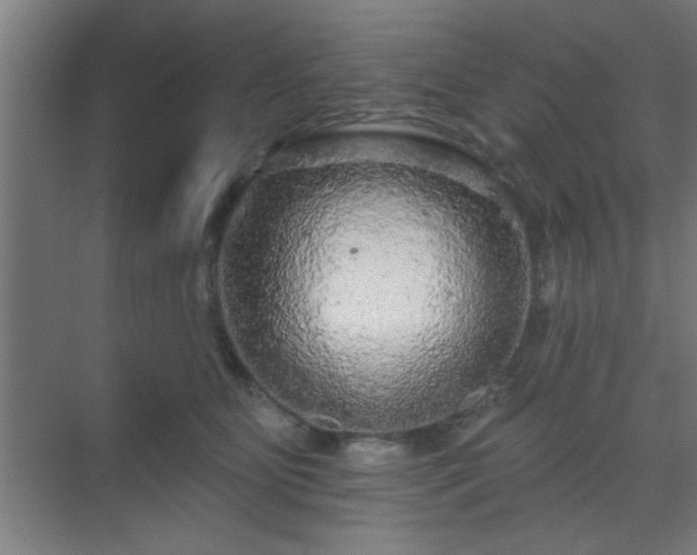 X0000069790515200605261700