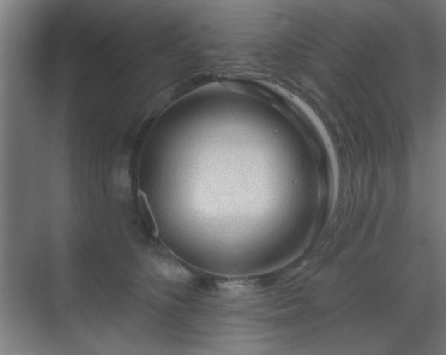 X0000069790516200605261700