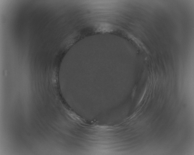 X0000069790517200605261700