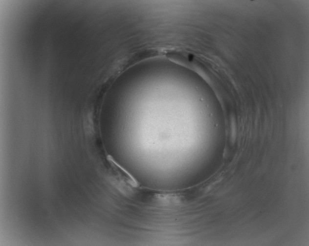 X0000069790520200605261700