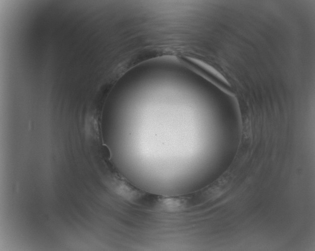 X0000069790522200605261700